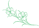 image_flower